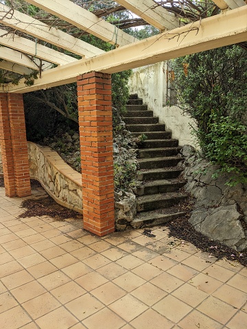 PXL 20230904 085034258