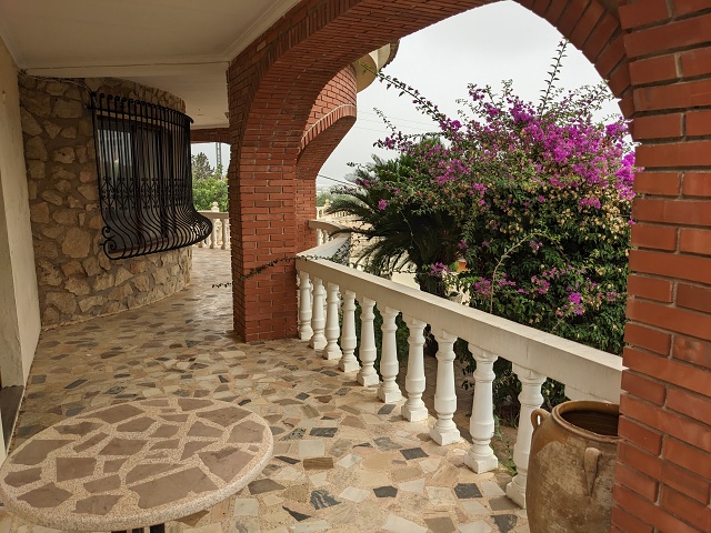 PXL 20230904 085126979