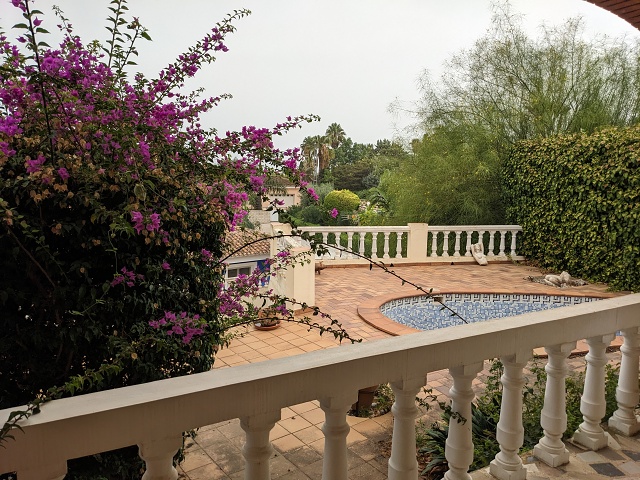 PXL 20230904 085142311